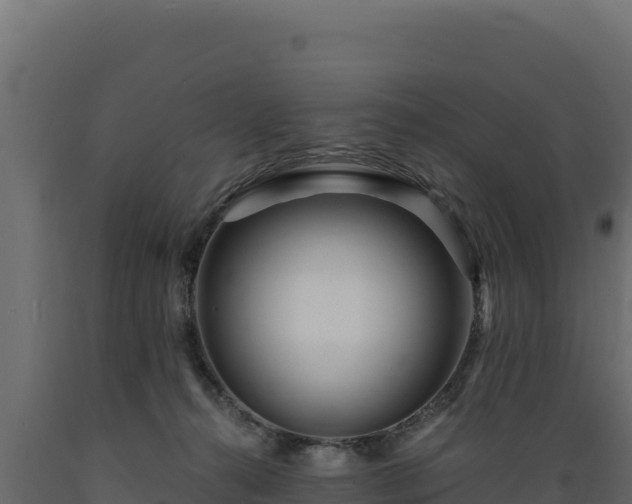 X0000089940272200707061106