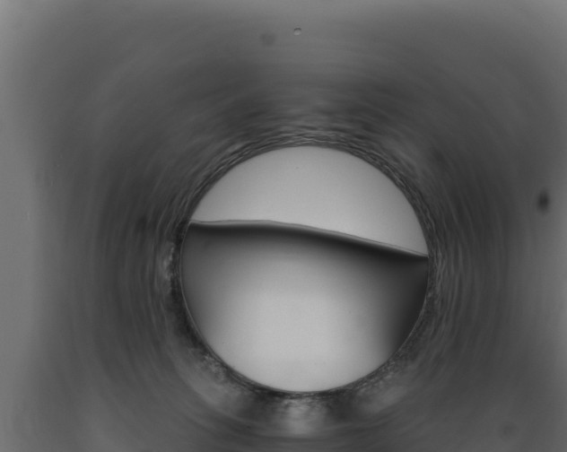 X0000089940275200707061106