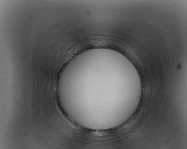 X0000089940277200707061106