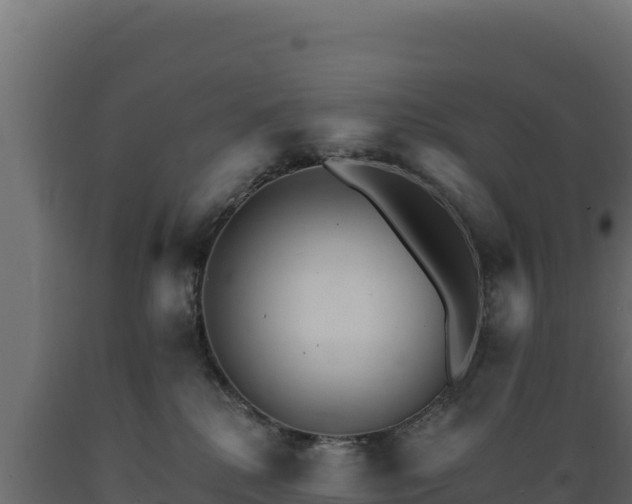 X0000089940280200707061106