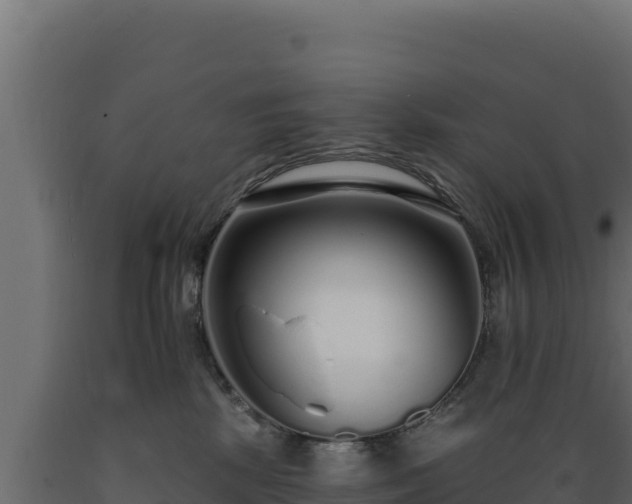 X0000089940281200707061106