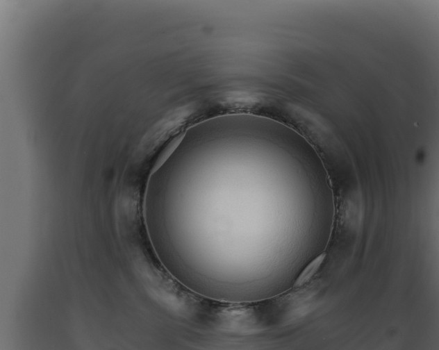 X0000089940283200707061106