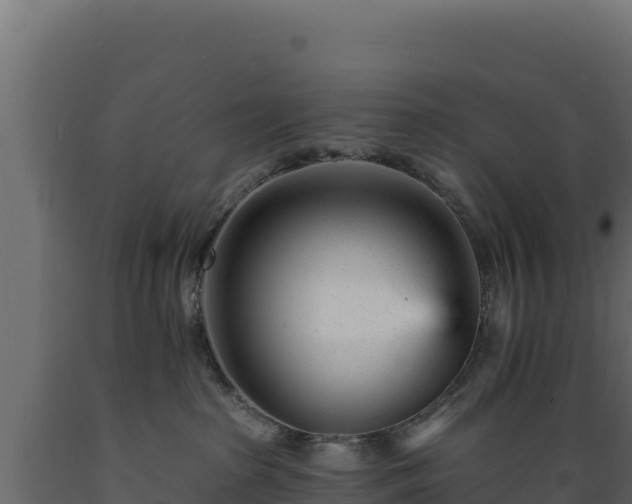 X0000089940285200707061106