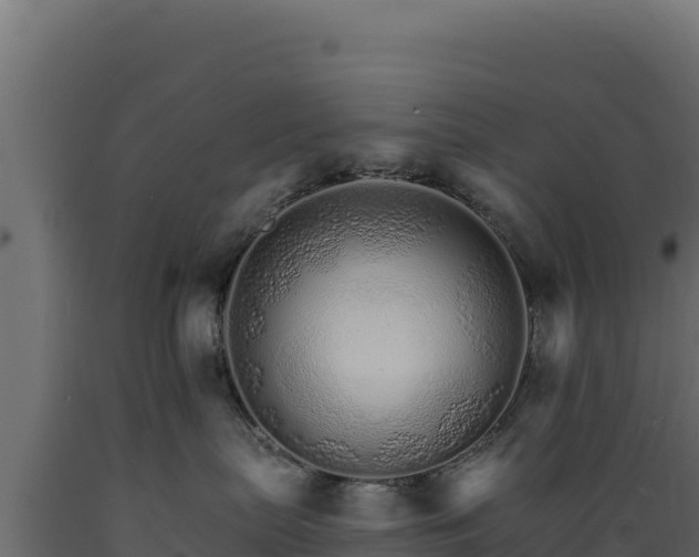 X0000089940287200707061106