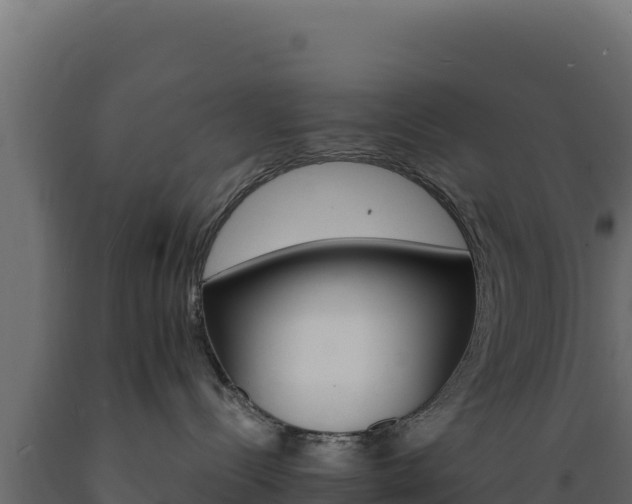 X0000089940288200707061106