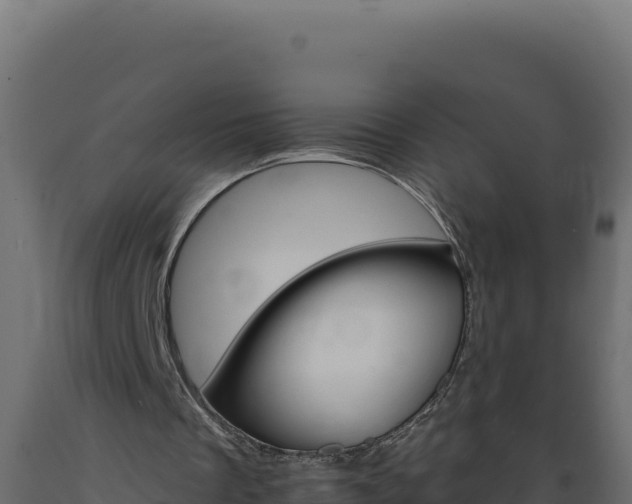 X0000089940289200707061106