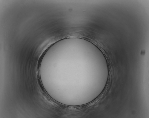 X0000089940290200707061106