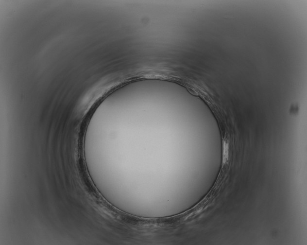 X0000089940291200707061106