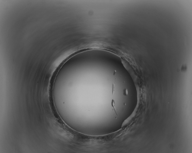 X0000089940292200707061106