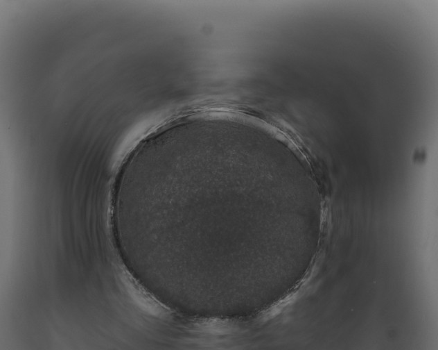 X0000089940293200707061106