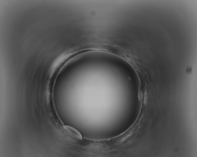 X0000089940294200707061106