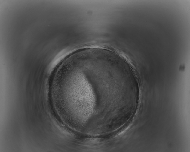 X0000089940295200707061106