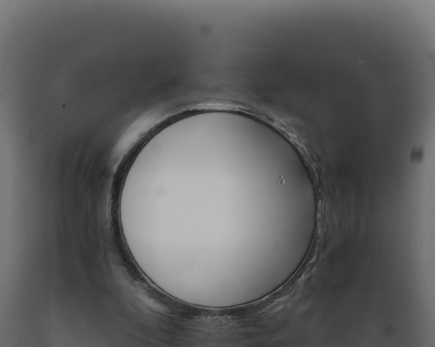 X0000089940296200707061106