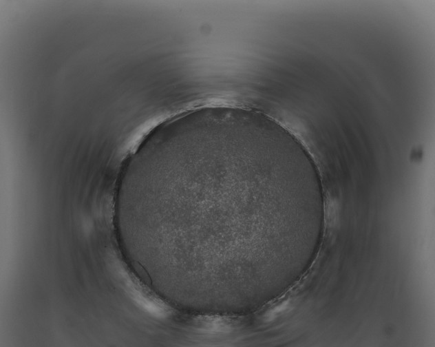 X0000089940297200707061106