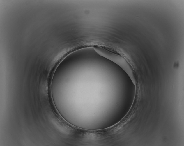 X0000089940298200707061106