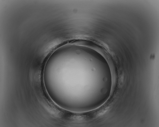 X0000089940299200707061106