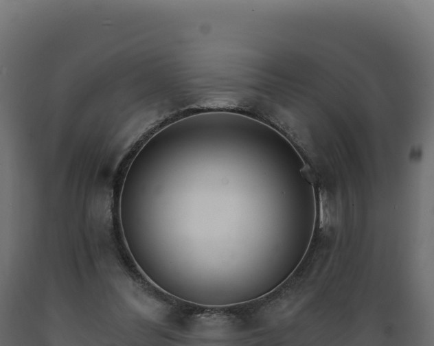 X0000089940300200707061106