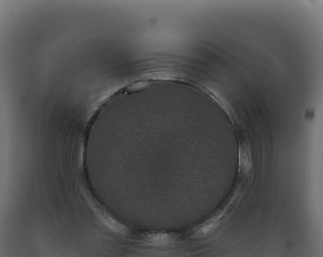 X0000089940301200707061106