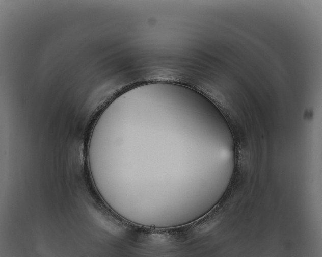 X0000089940302200707061106