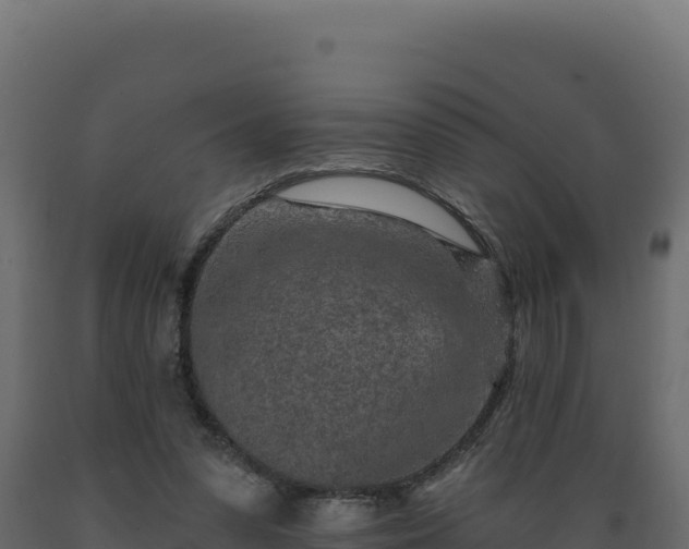 X0000089940303200707061106