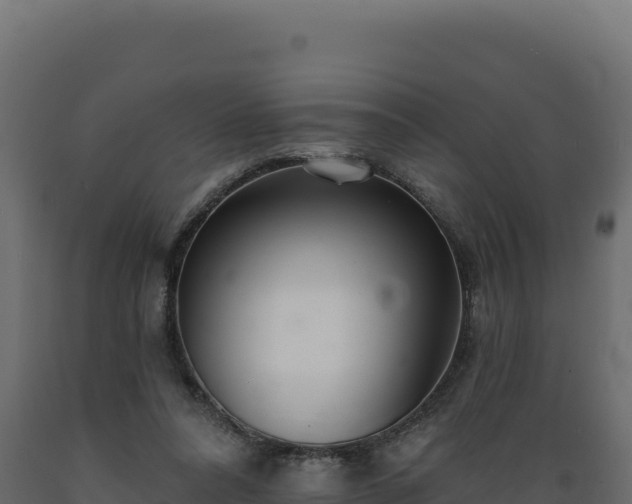 X0000089940304200707061106