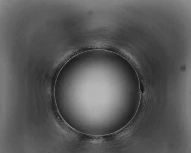 X0000089940306200707061106