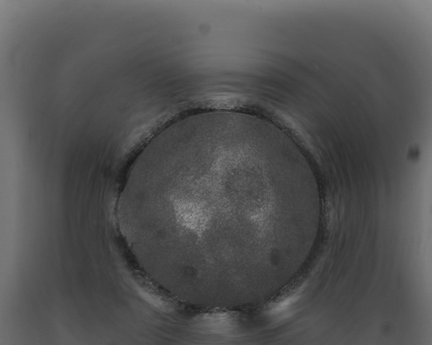 X0000089940307200707061105