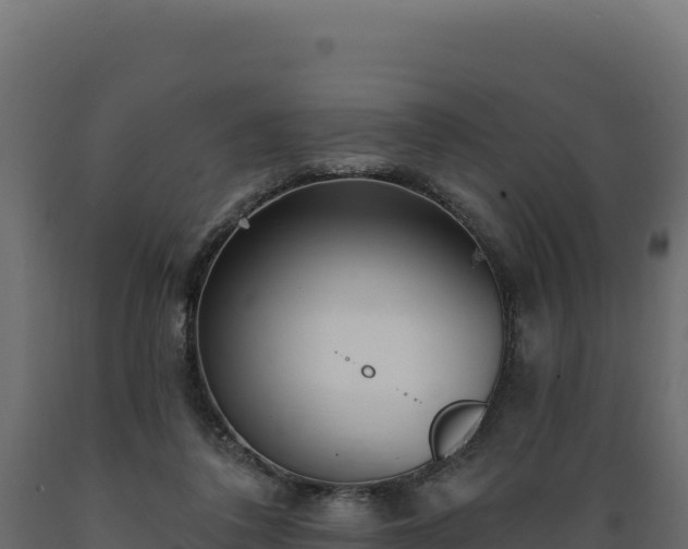 X0000089940308200707061105