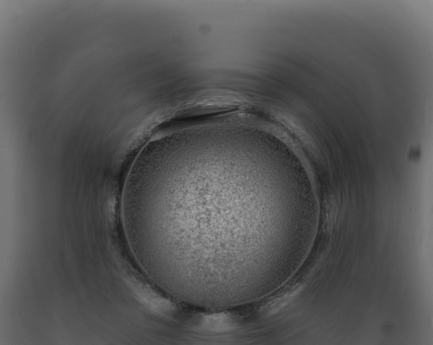 X0000089940309200707061105