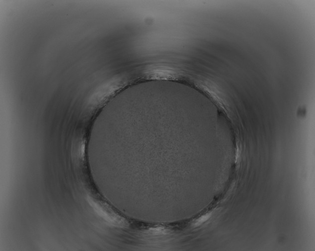 X0000089940310200707061105