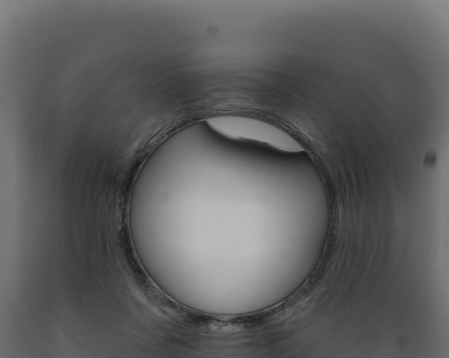 X0000089940311200707061105