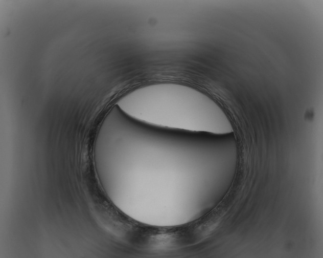 X0000089940312200707061105