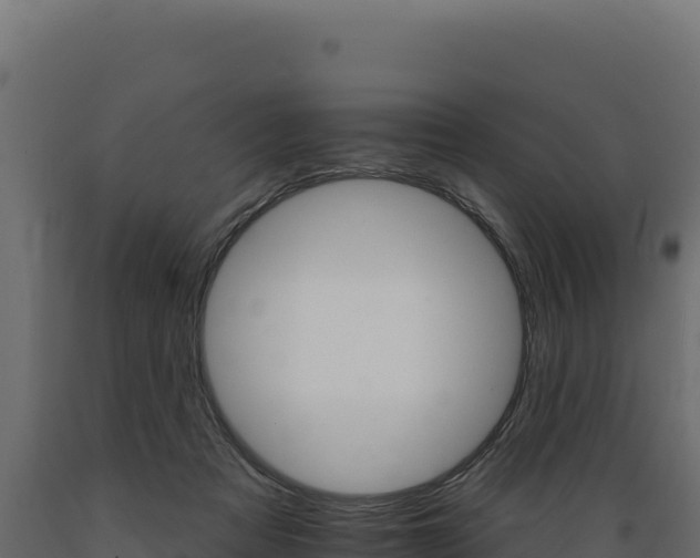 X0000089940313200707061105