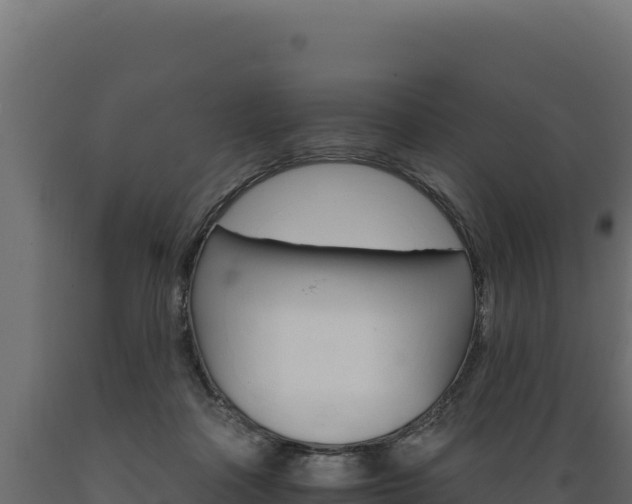 X0000089940314200707061105