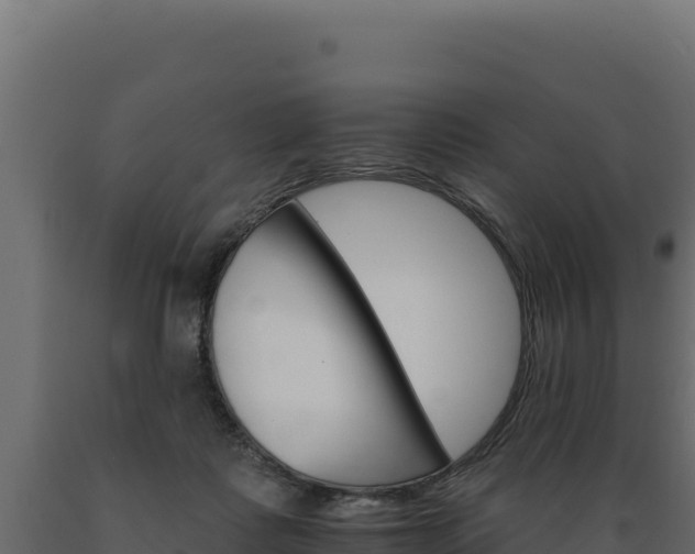 X0000089940315200707061105