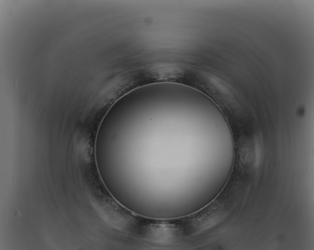 X0000089940316200707061105