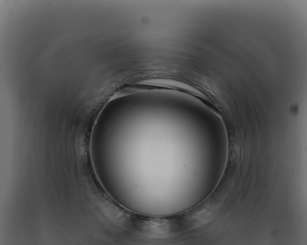 X0000089940317200707061105