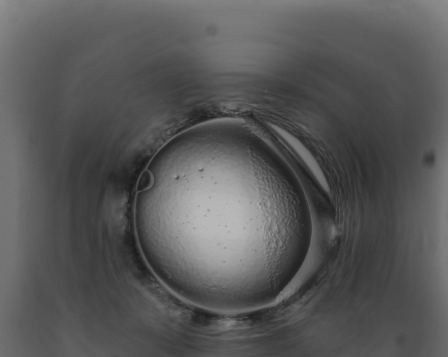 X0000089940319200707061105