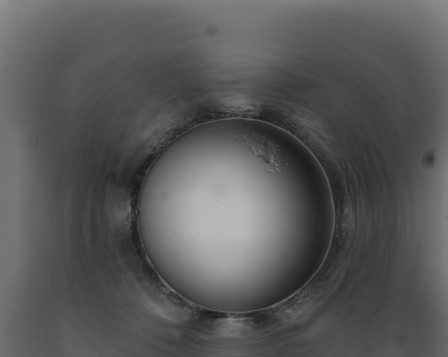 X0000089940320200707061105