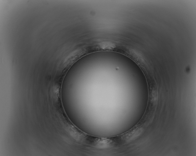 X0000089940321200707061105