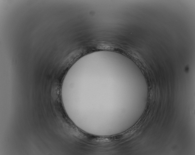 X0000089940322200707061105