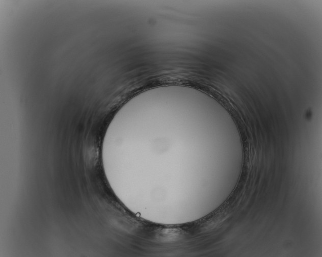 X0000089940324200707061105