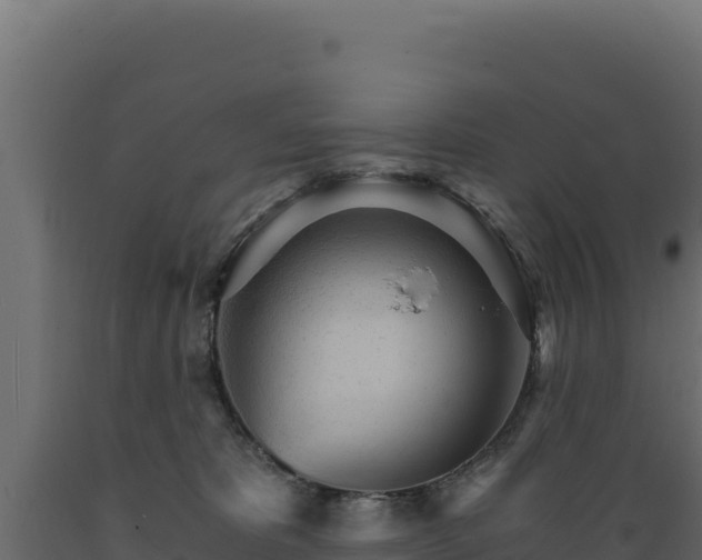 X0000089940325200707061105