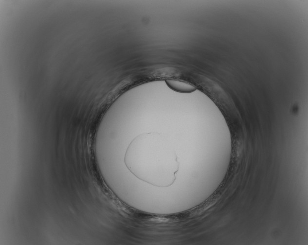 X0000089940326200707061105