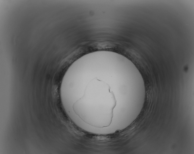 X0000089940327200707061105