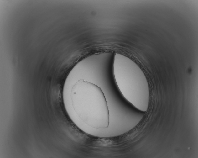 X0000089940328200707061105