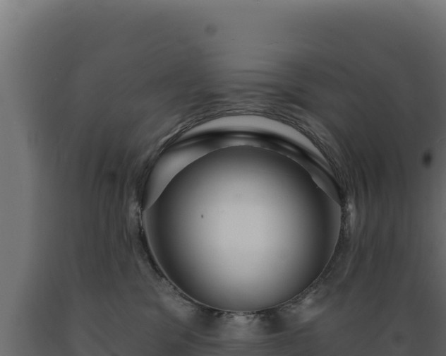 X0000089940329200707061105