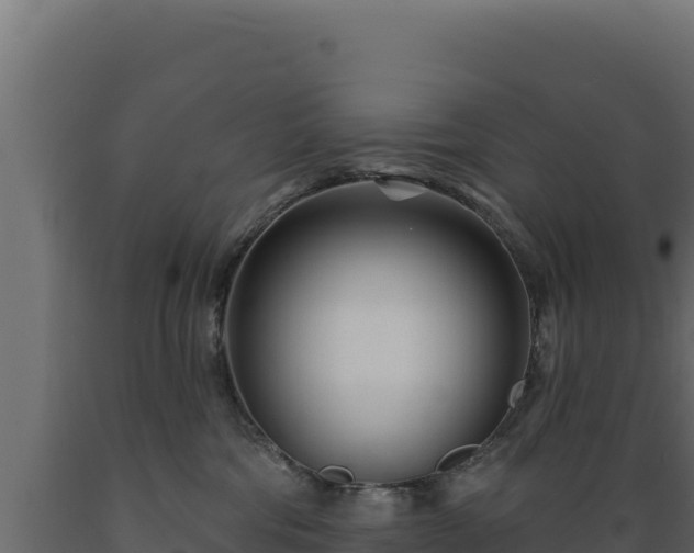 X0000089940330200707061105