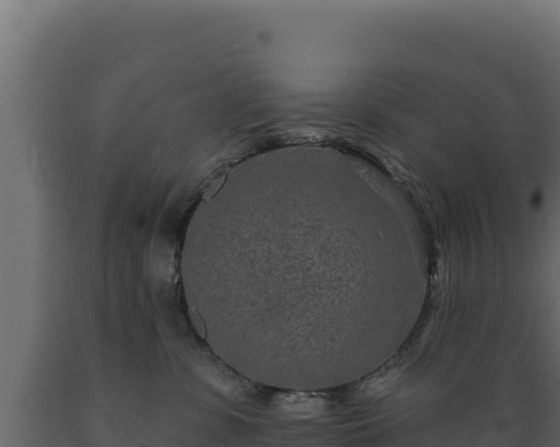 X0000089940331200707061105