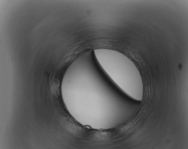 X0000089940332200707061105